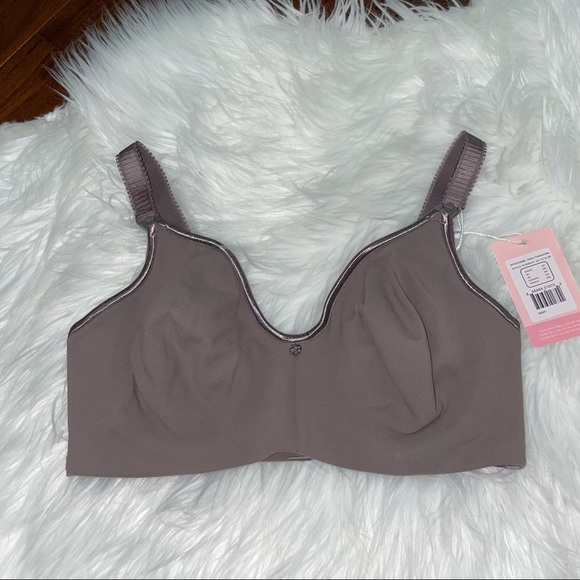 Cake Other - NWT Cake Lingerie Raisin Croissant Bra Size 34D